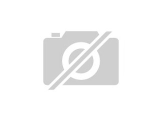 Suche gr. landschildkröten weibchen